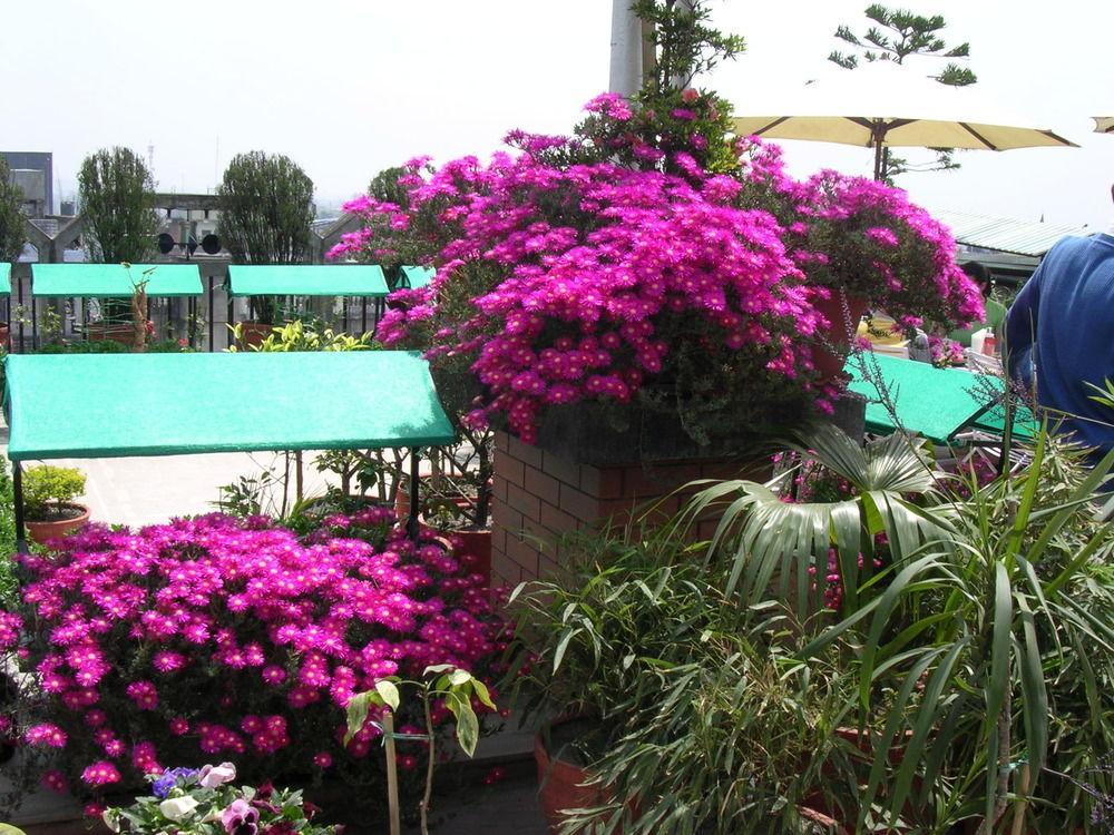 Hotel Excelsior Katmandu Dış mekan fotoğraf